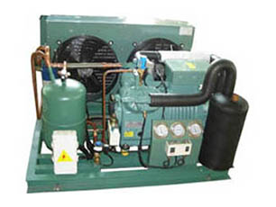 蒸發冷螺桿低溫速凍型機組