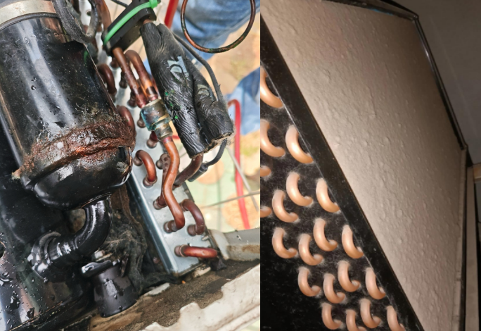 f283cf0f2c7e8282c8355f34a6f07f8c.png f283cf0f2c7e8282c8355f34a6f07f8c.png